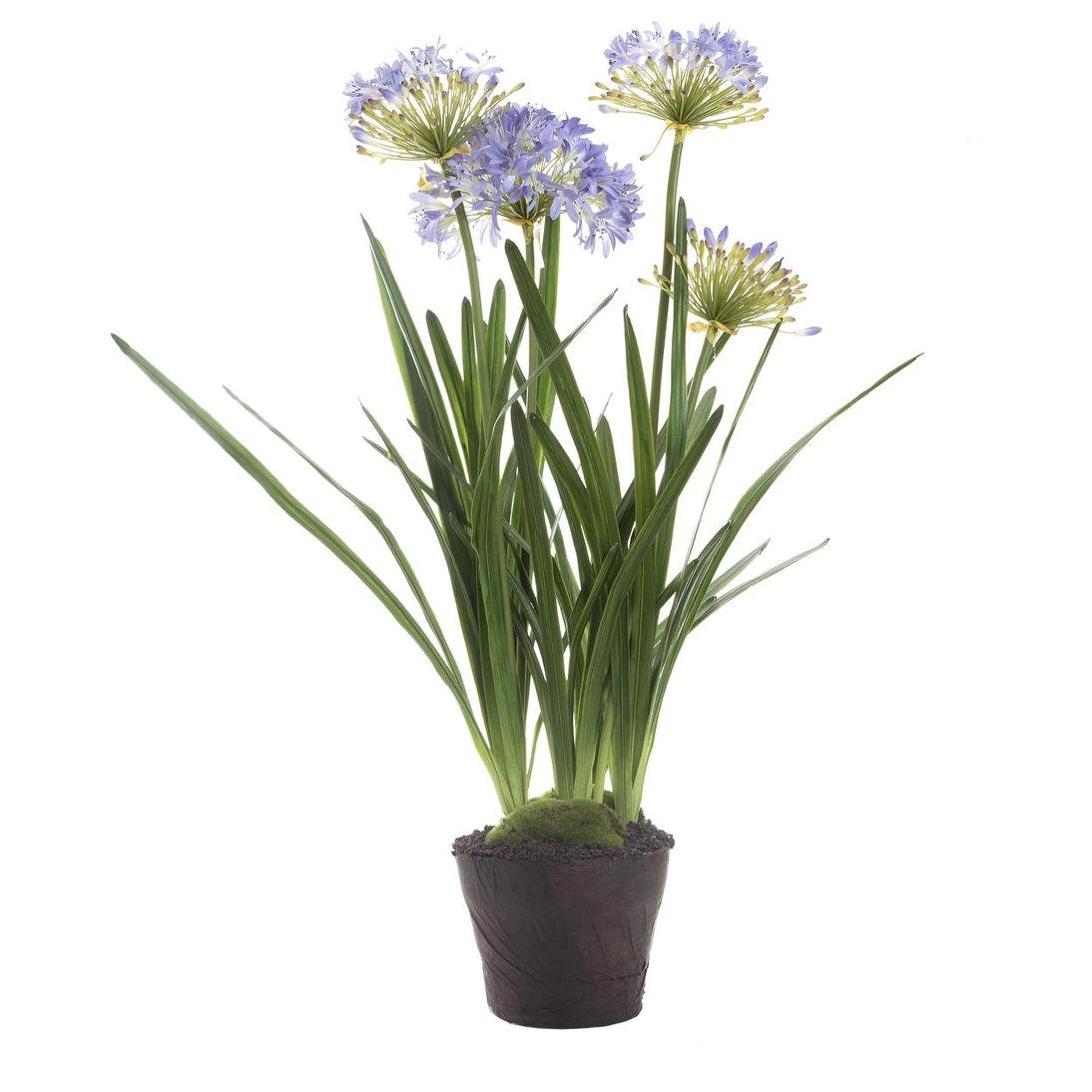 Agapanthus in Paper Pot Lavender | Luxury home decor and furniture by Home Decor & Co