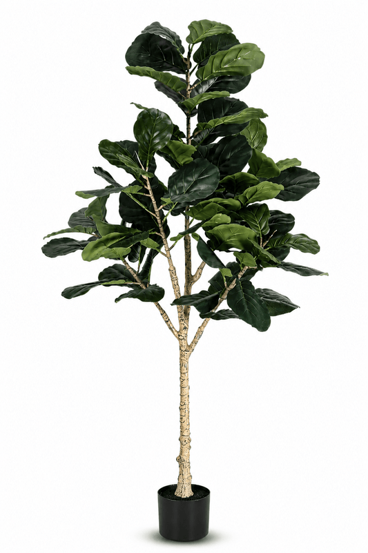 Artificial Fiddle Tree 180cm High | Luxury home decor and furniture by Home Decor & Co