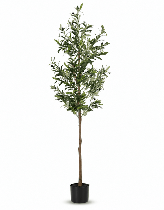 Artificial Olive Tree 180cm High | Luxury home decor and furniture by Home Decor & Co
