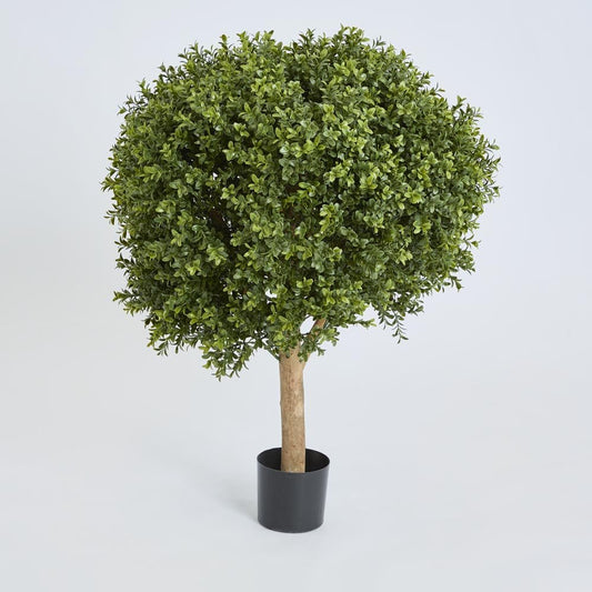 Boxwood Ball Tree 85cm | Luxury home decor and furniture by Home Decor & Co