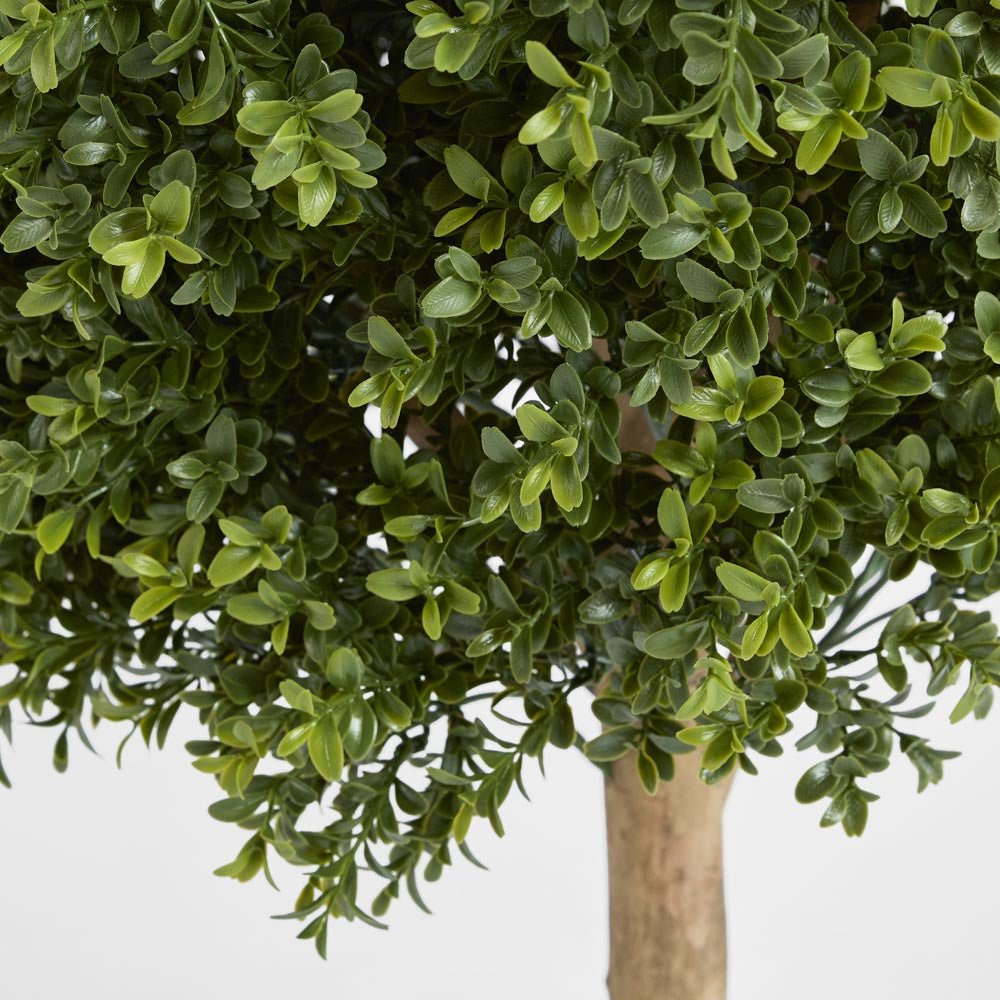Boxwood Ball Tree 85cm | Luxury home decor and furniture by Home Decor & Co