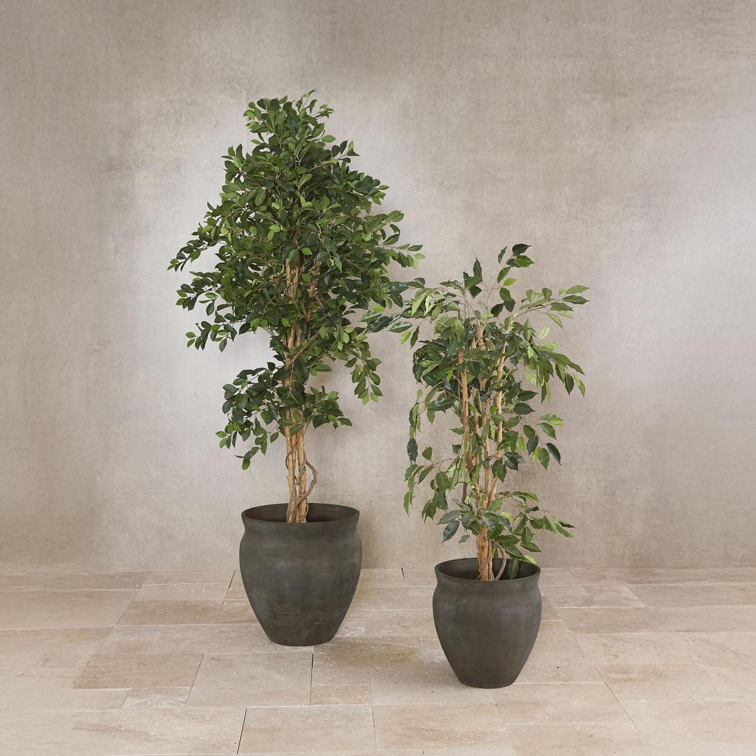 Ficus 1.2m | Luxury home decor and furniture by Home Decor & Co