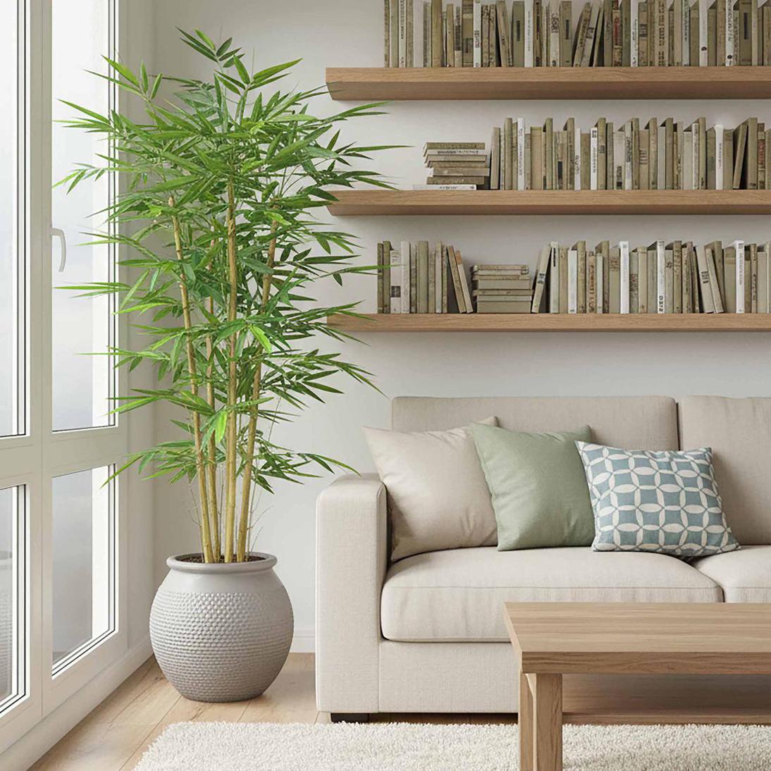 Giant Bamboo Tree 2.4m | Luxury home decor and furniture by Home Decor & Co