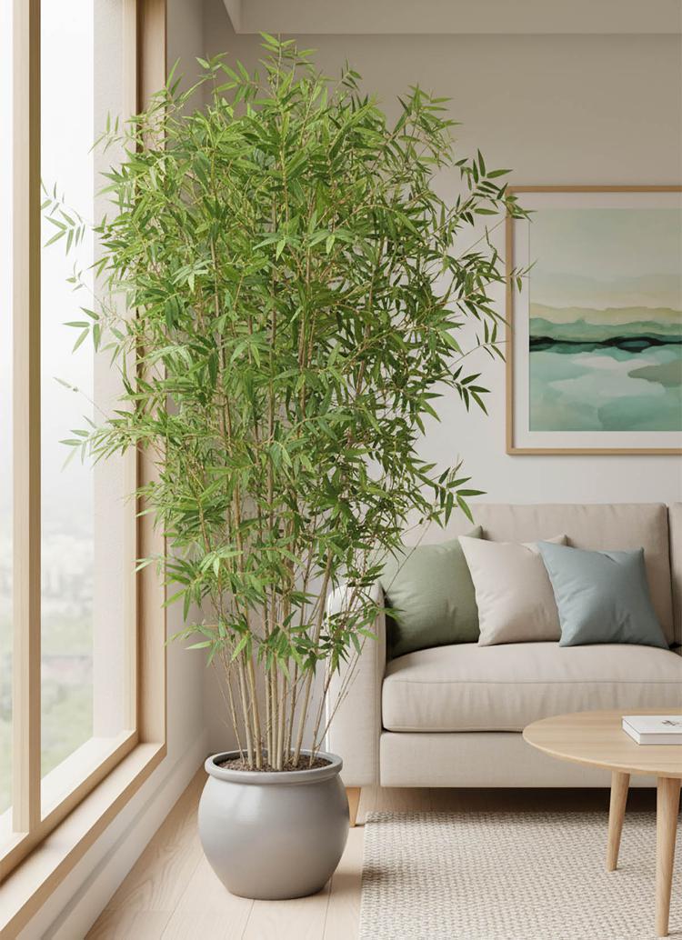 Oriental Bamboo Tree 1.9m | Luxury home decor and furniture by Home Decor & Co