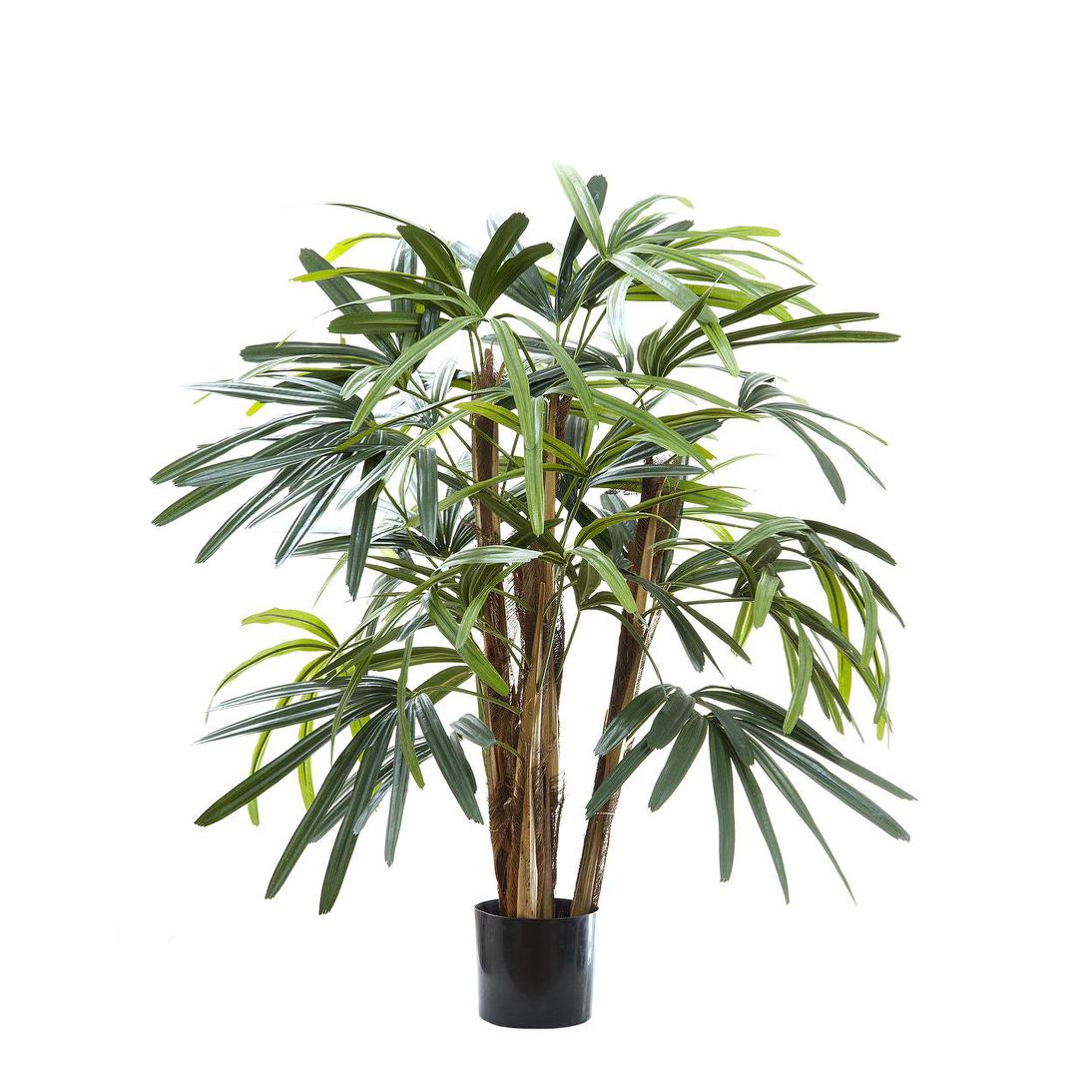 Raphis Palm 1m | Luxury home decor and furniture by Home Decor & Co