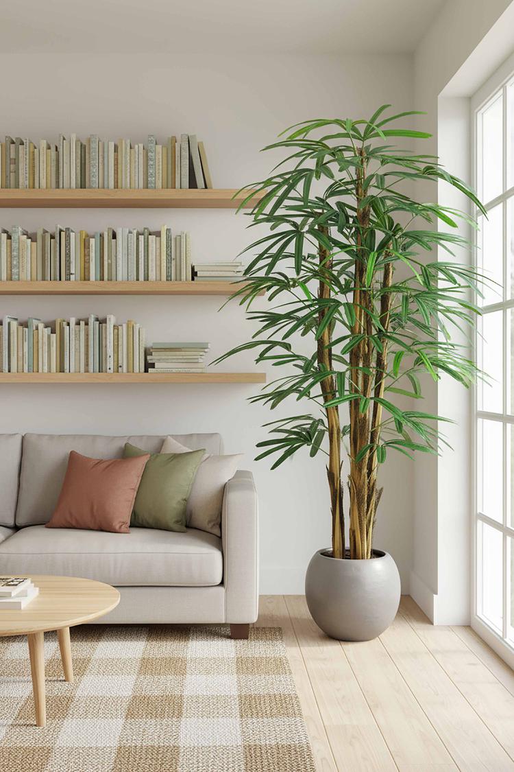 Raphis Palm Thin Leaf 1.7m | Luxury home decor and furniture by Home Decor & Co