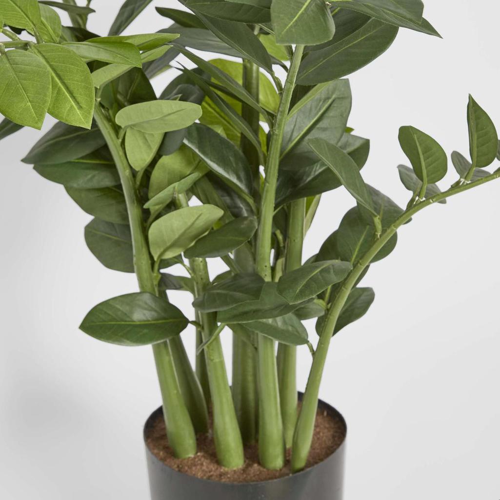 Smargago Plant 1.1m | Luxury home decor and furniture by Home Decor & Co