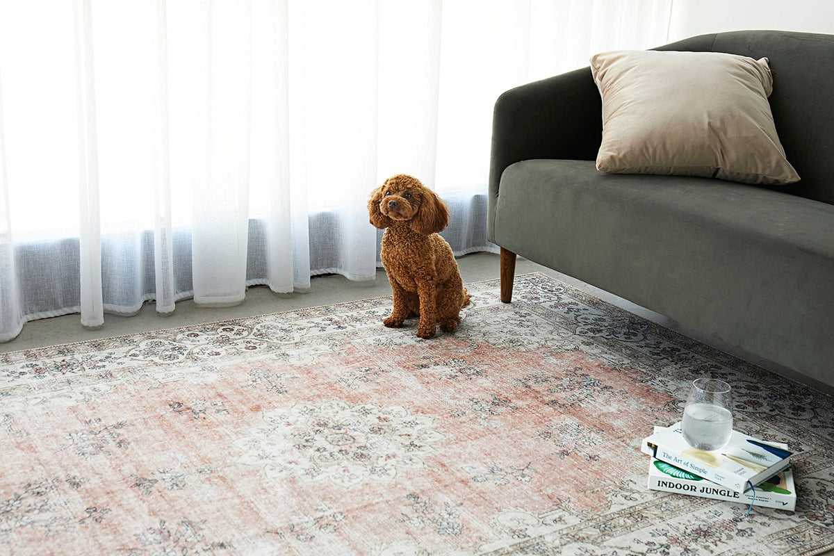 Kindred Coco Peach Washable Rug | Luxury home decor and furniture by Home Decor & Co