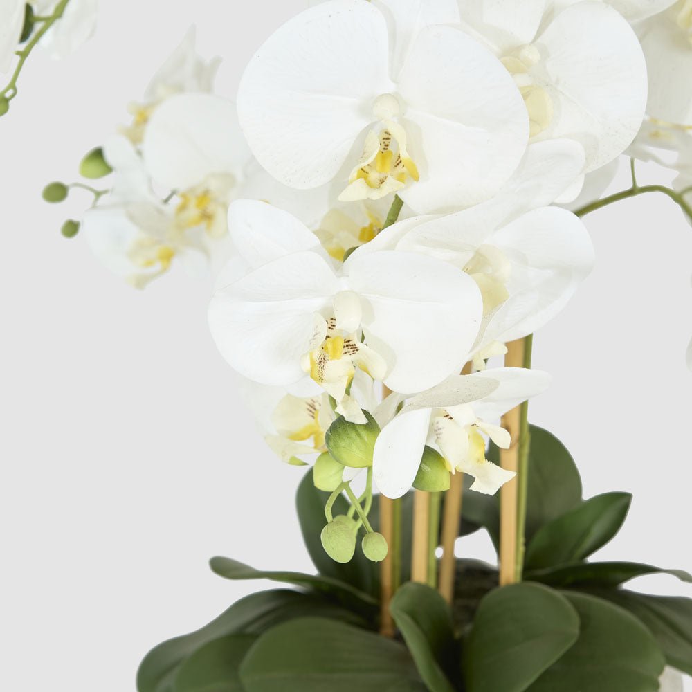 Phalaenopsis Real Touch in Silver Pot 50cm White | Luxury home decor and furniture by Home Decor & Co