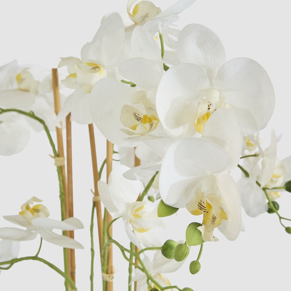 Orchid Potted Real Touch 71cm White | Luxury home decor and furniture by Home Decor & Co