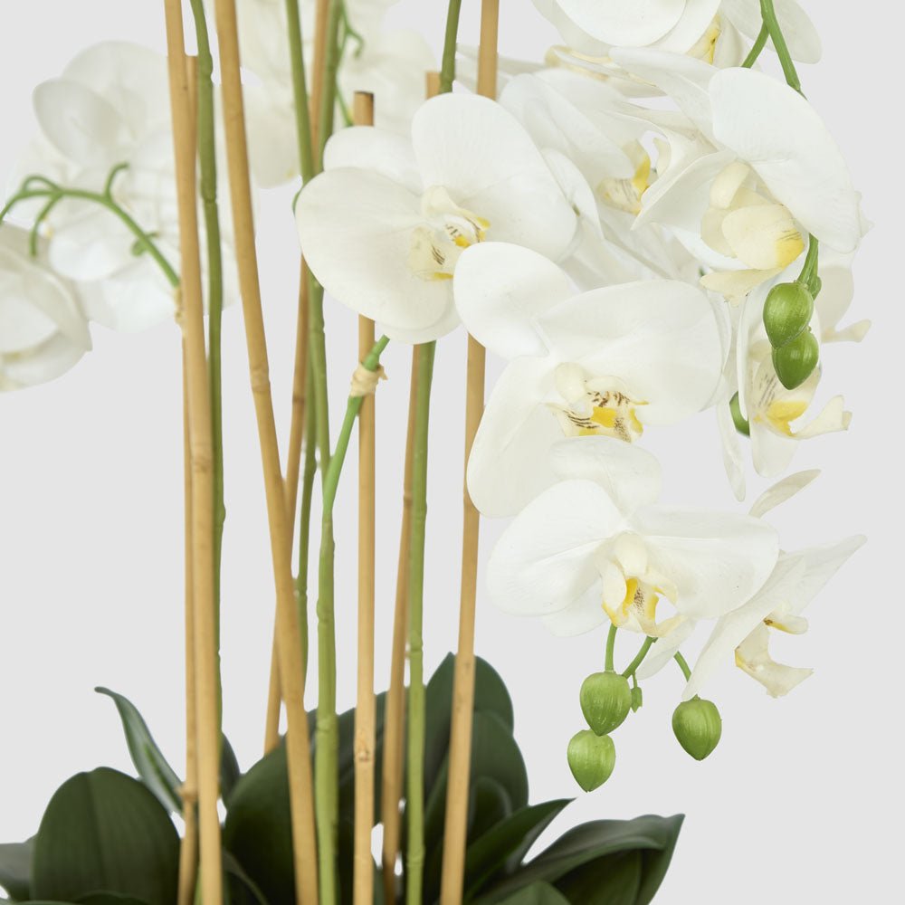 Orchid Potted Real Touch 100cm White | Luxury home decor and furniture by Home Decor & Co