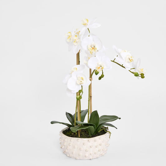Spike Real Touch Potted Phalaenopsis Orchid LGE | Luxury home decor and furniture by Home Decor & Co
