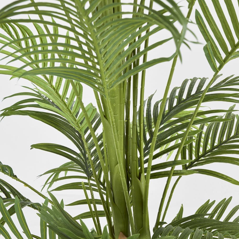 Real Touch Palm Tree in Black Pot 210cm | Luxury home decor and furniture by Home Decor & Co