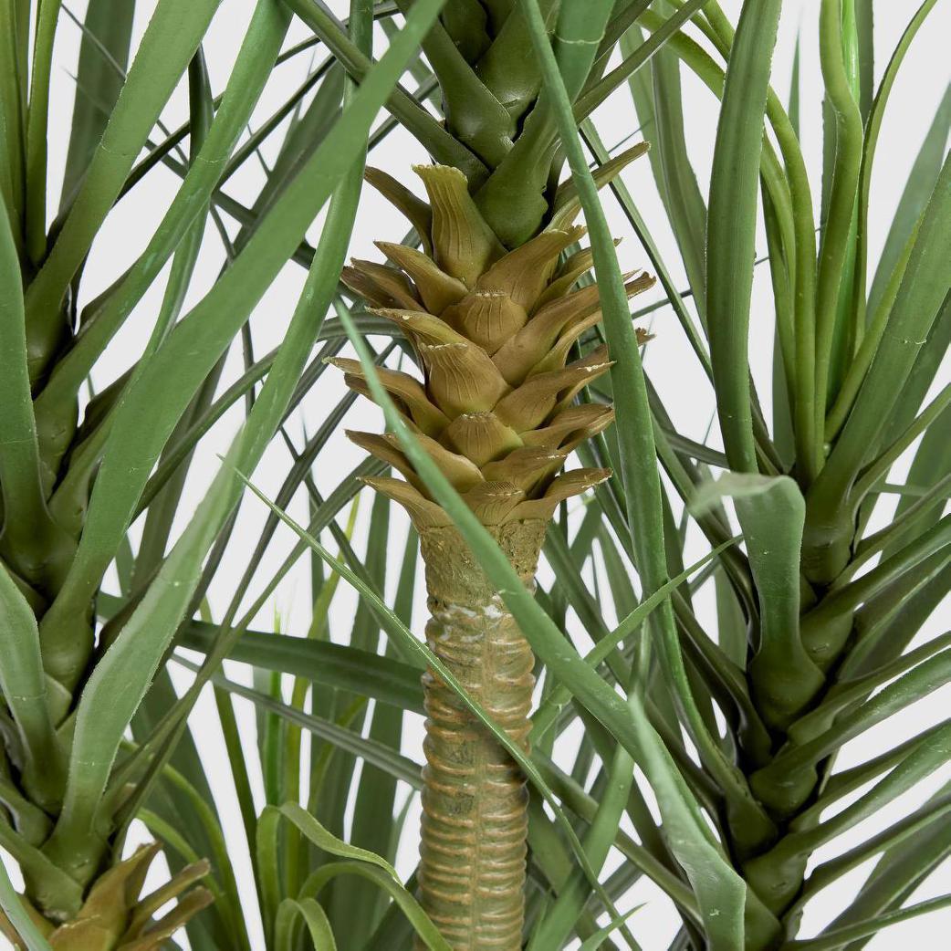 Yucca Tree in Black Pot 180cm | Luxury home decor and furniture by Home Decor & Co