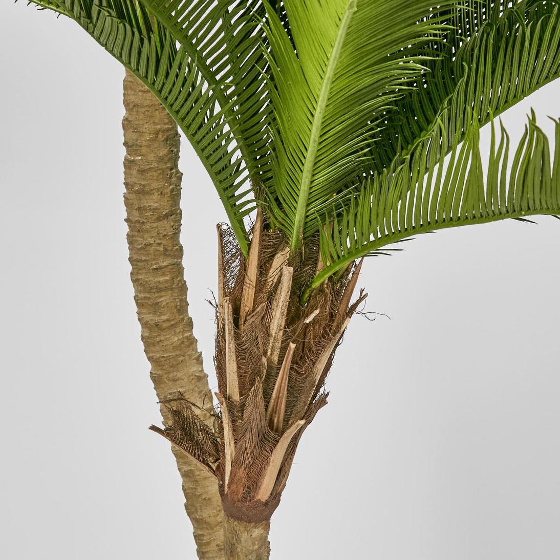 Cycus Palm 1.5M with 2058 Leaves | Luxury home decor and furniture by Home Decor & Co