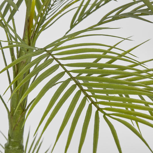 Double Stem Palm Tree 150cm | Luxury home decor and furniture by Home Decor & Co