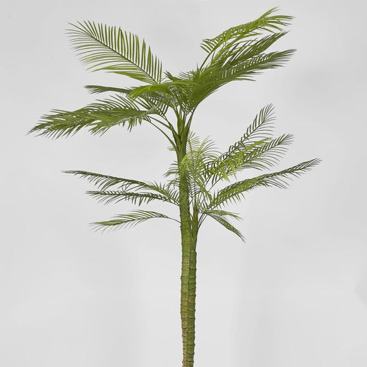Double Stem Palm Tree 218cm, view 2