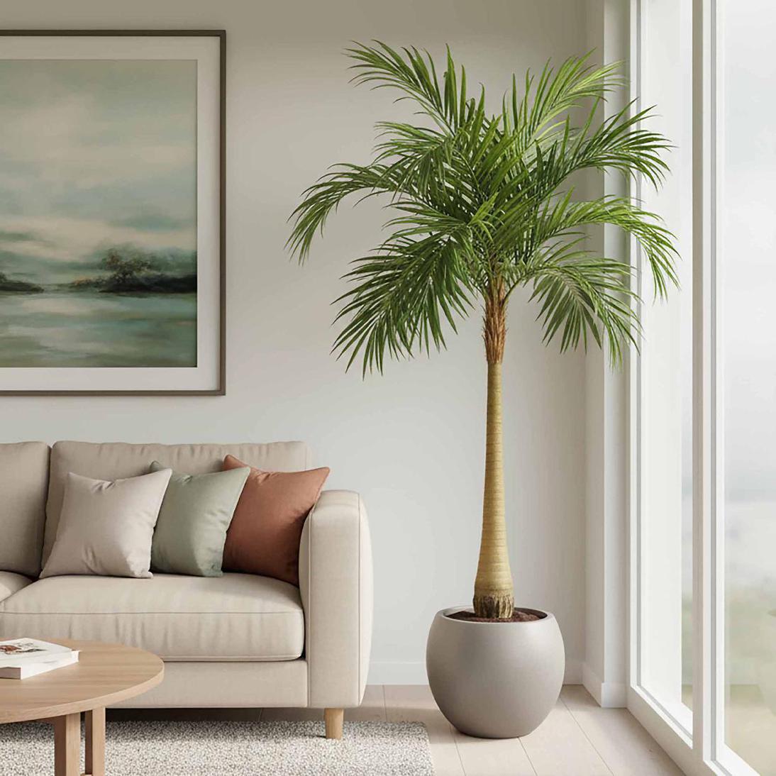 Majesty Palm Tree 240cm | Luxury home decor and furniture by Home Decor & Co