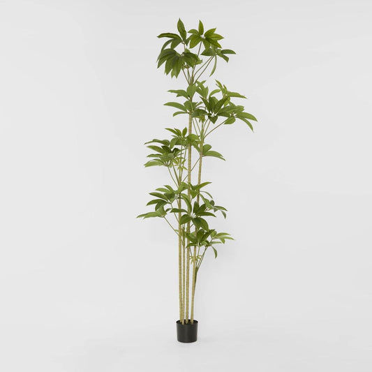 Real Touch Frangipani Tree 210cm, view 2