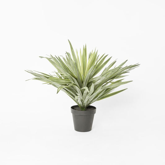 Soft Touch Potted Sisal Plant 68cm, view 2