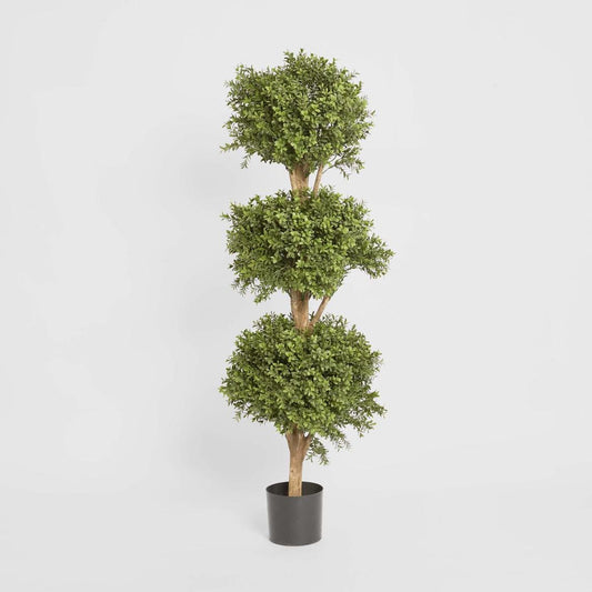 Boxwood Triple Ball Tree 1.2m, view 2