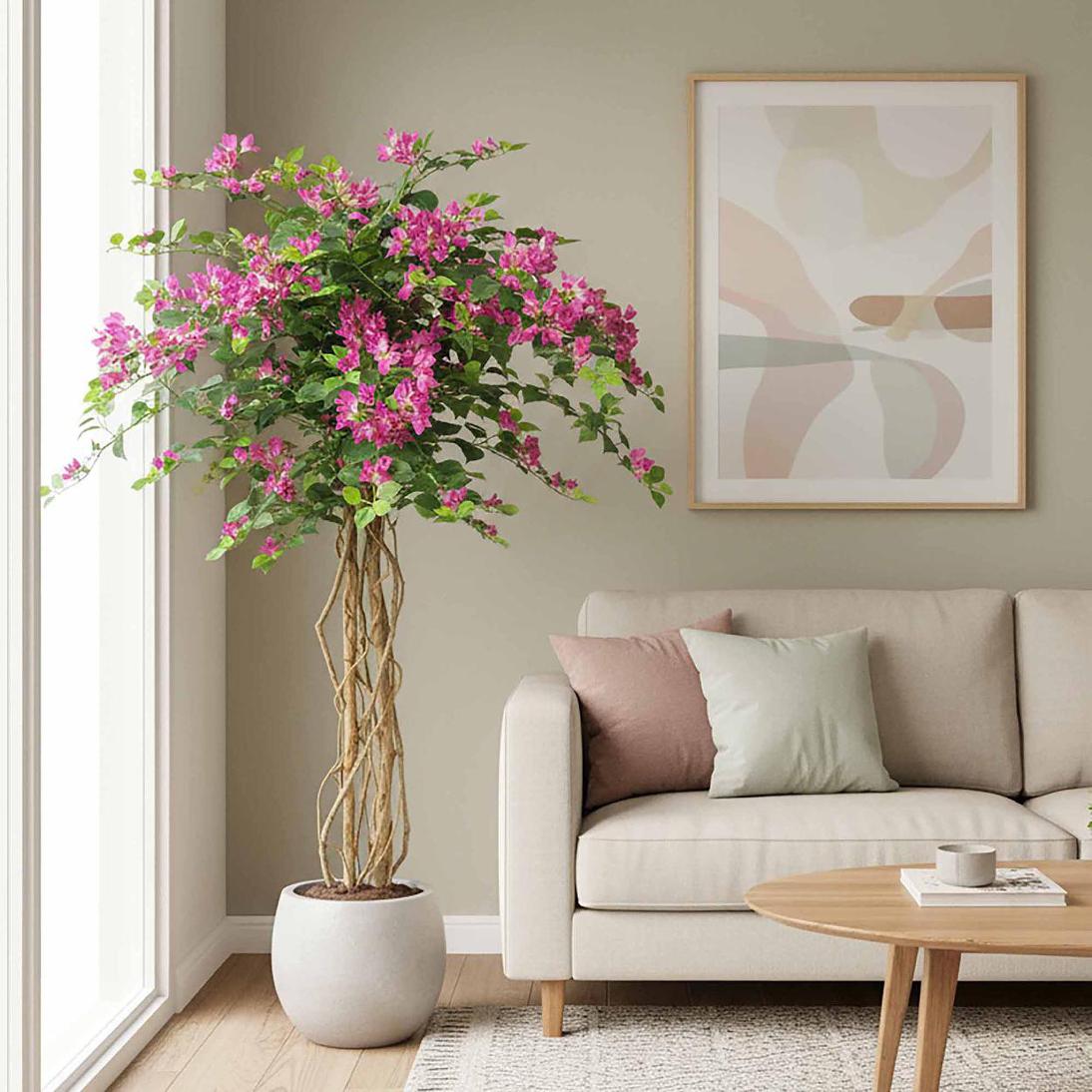 Bougainvillea Tree 1.6m | Luxury home decor and furniture by Home Decor & Co