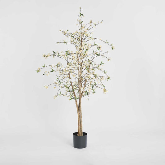 Cherry Blossom Tree 1.8m, view 2