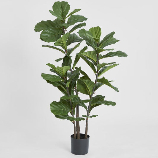 Fiddle Leaf Tree 1.33m, view 2