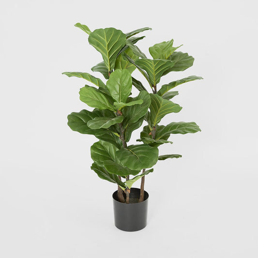 Fiddle Leaf Tree 93cm, view 2