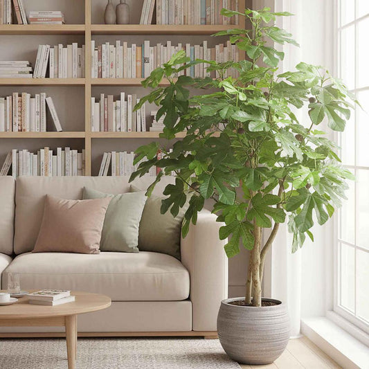 Fig Tree 1.1m | Luxury home decor and furniture by Home Decor & Co
