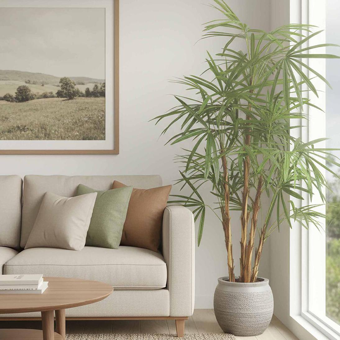 Honey Lady Palm 1.4m | Luxury home decor and furniture by Home Decor & Co