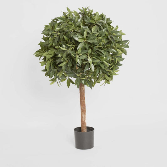 Laurel Ball Tree 1.1m, view 2