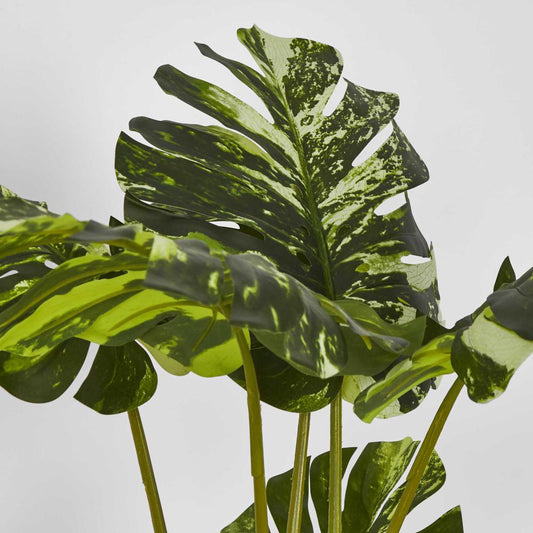 Variegated Real Touch Monstera 75cm, view 2