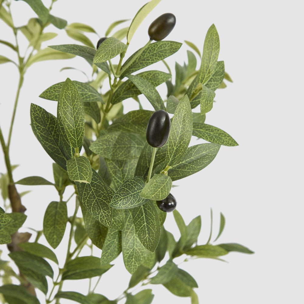 Potted Olive Tree 120cm | Luxury home decor and furniture by Home Decor & Co
