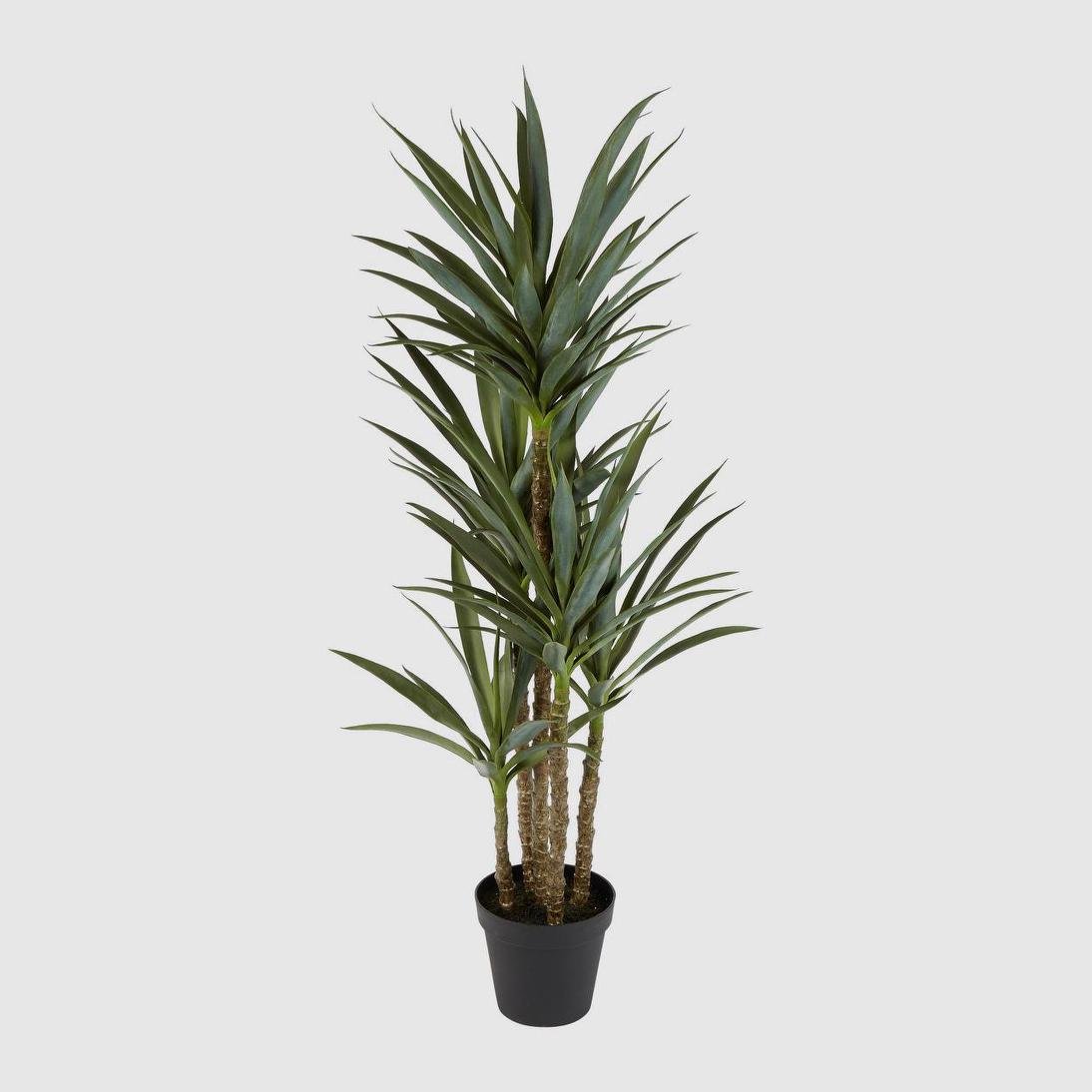 Yucca 5 Branch in Black Pot | Luxury home decor and furniture by Home Decor & Co