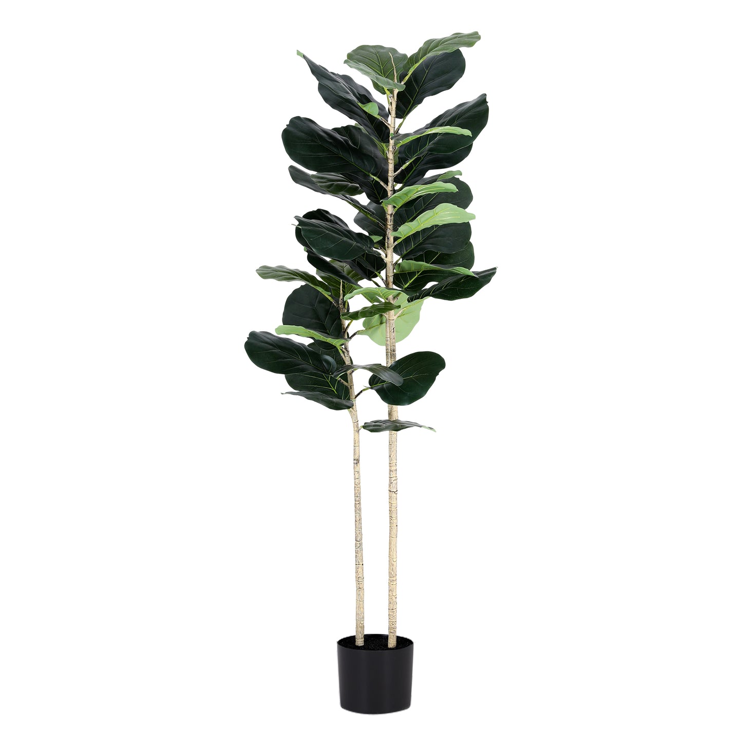Artificial Fiddle Tree 150cm High | Luxury home decor and furniture by Home Decor & Co