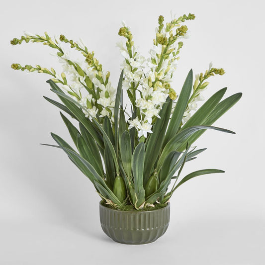 Ferne Arrangement Olive | Luxury home decor and furniture by Home Decor & Co