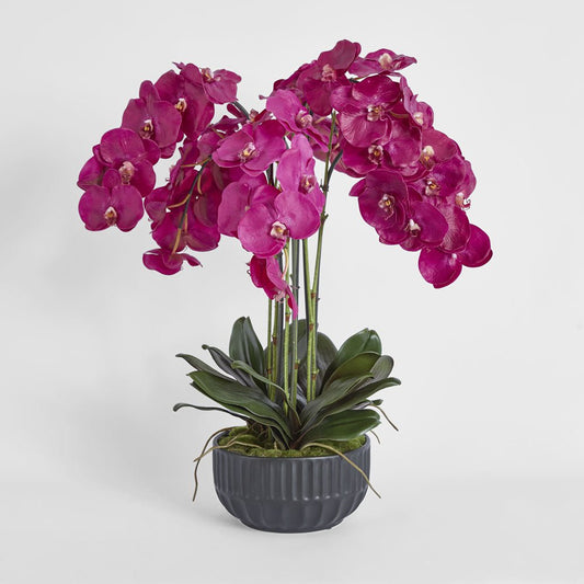 Oreana Arrangement Black | Luxury home decor and furniture by Home Decor & Co