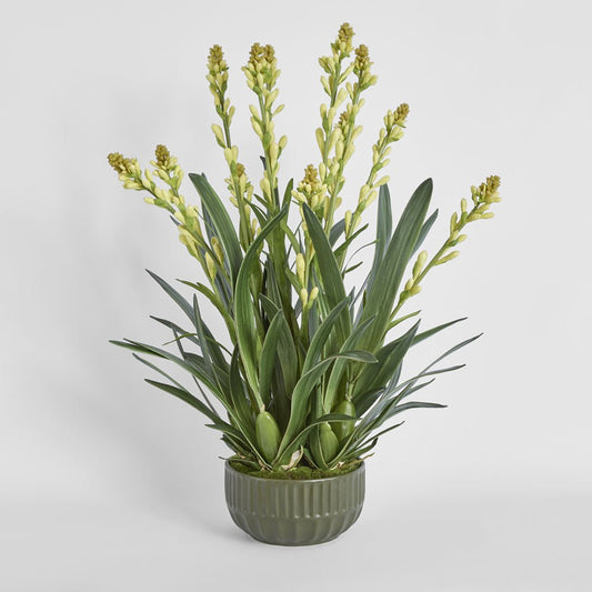 Tahlia Arrangement Olive | Luxury home decor and furniture by Home Decor & Co