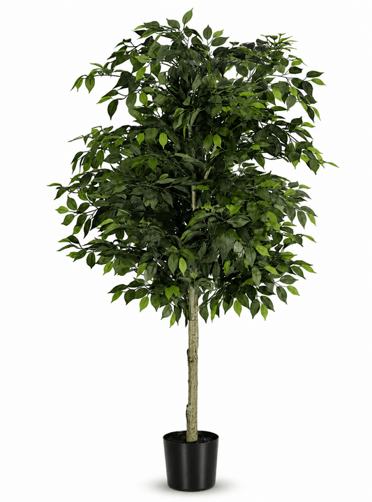 Artificial Ficus Tree 180cm High | Luxury home decor and furniture by Home Decor & Co