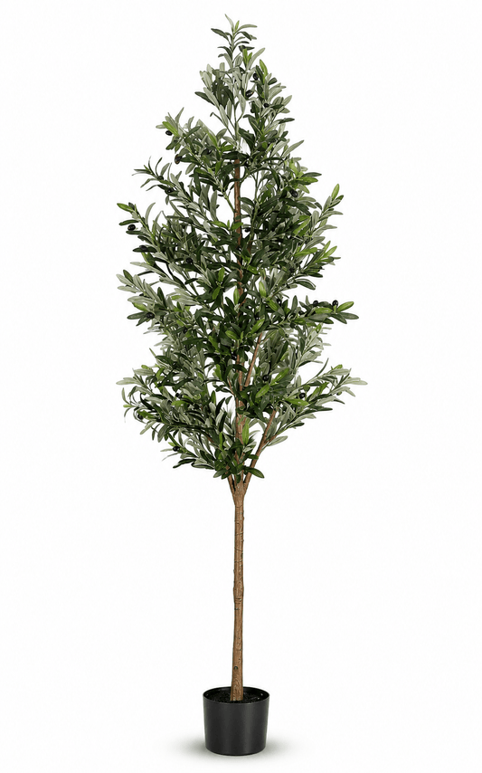 Artificial Olive Tree 210cm High | Luxury home decor and furniture by Home Decor & Co