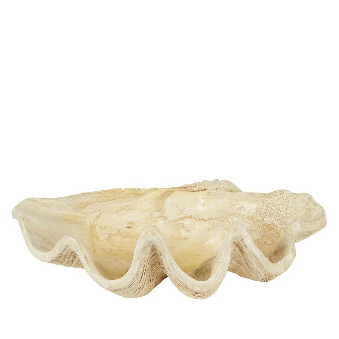 Giant Clam Sculpture Natural | Luxury home decor and furniture by Home Decor & Co
