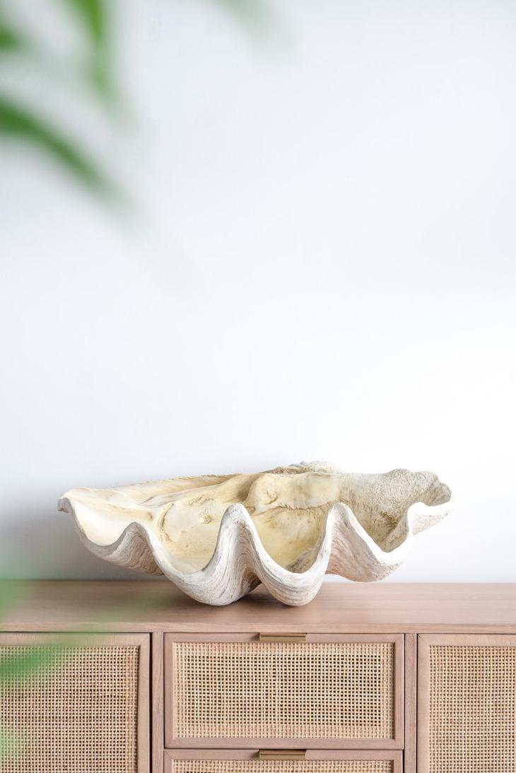 Giant Clam Sculpture Natural | Luxury home decor and furniture by Home Decor & Co