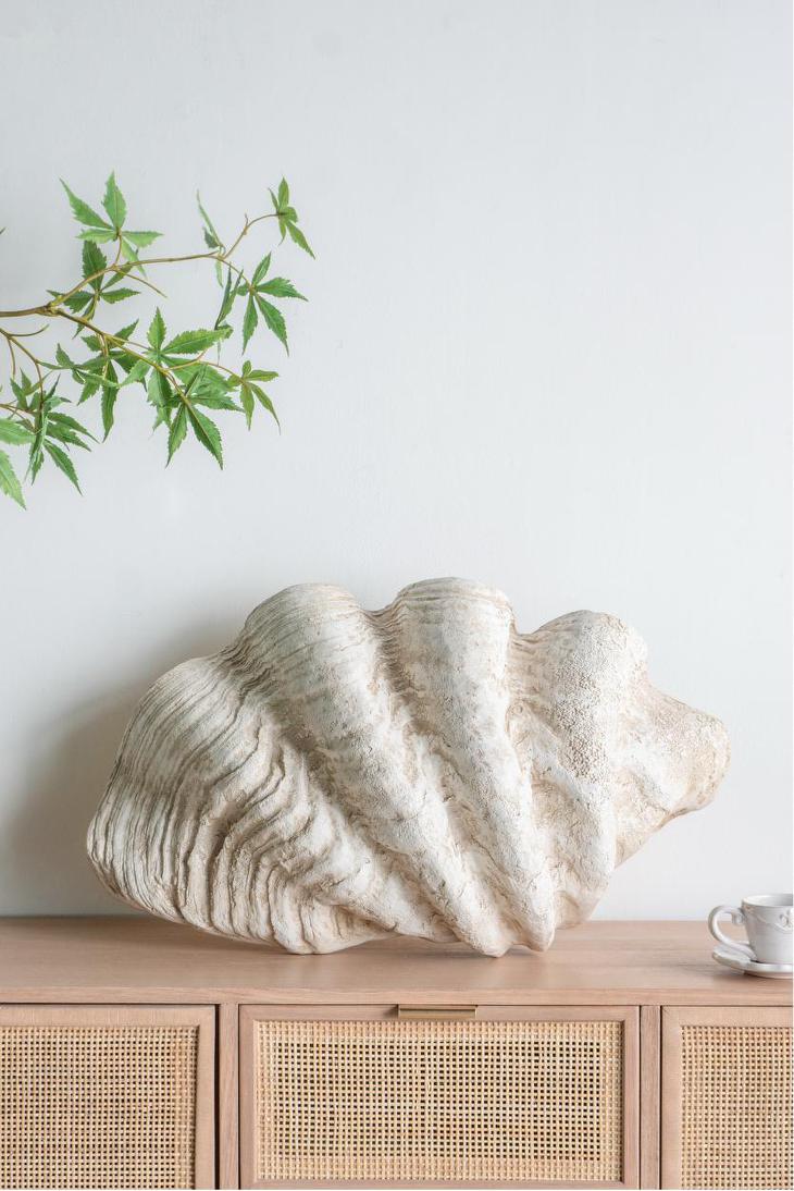 Giant Clam Sculpture Natural | Luxury home decor and furniture by Home Decor & Co