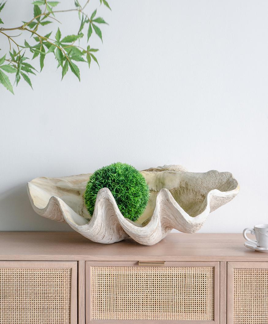 Giant Clam Sculpture Natural | Luxury home decor and furniture by Home Decor & Co