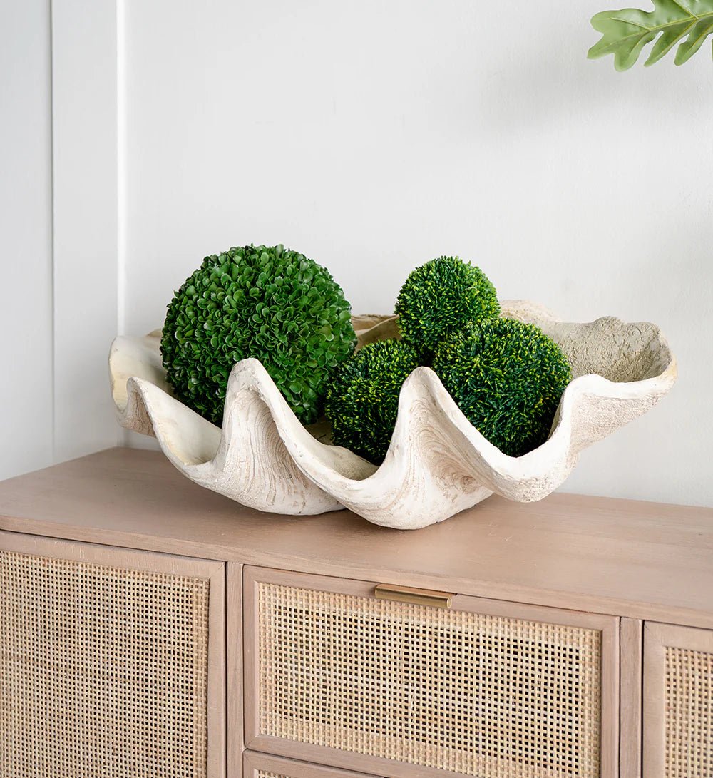 Giant Clam Sculpture Natural | Luxury home decor and furniture by Home Decor & Co