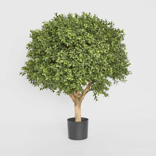 Boxwood Ball Tree 65cm | Luxury home decor and furniture by Home Decor & Co