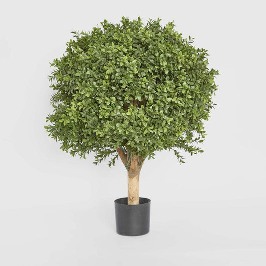 Boxwood Ball Tree 65cm | Luxury home decor and furniture by Home Decor & Co