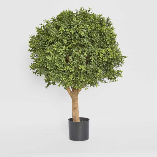 Boxwood Ball Tree 75cm, view 2