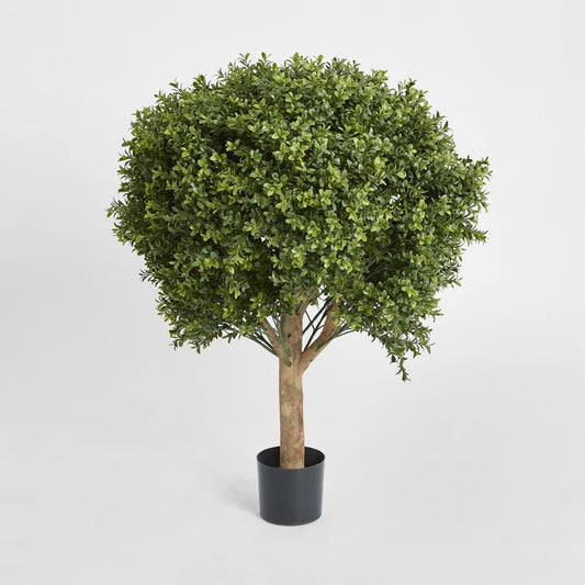 Boxwood Ball Tree 85cm | Luxury home decor and furniture by Home Decor & Co